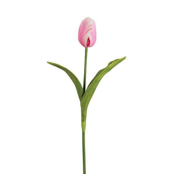 Tulip Pick - Min of 2
