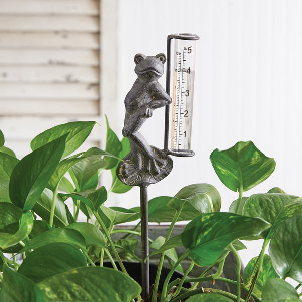 Frog Rain Gauge Garden Pick - Min of 2