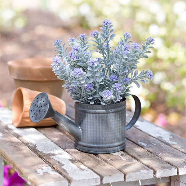 Mini Watering Can - Min of 2