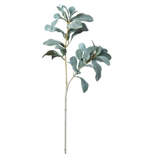 Lambs Ear Stem - Min of 4