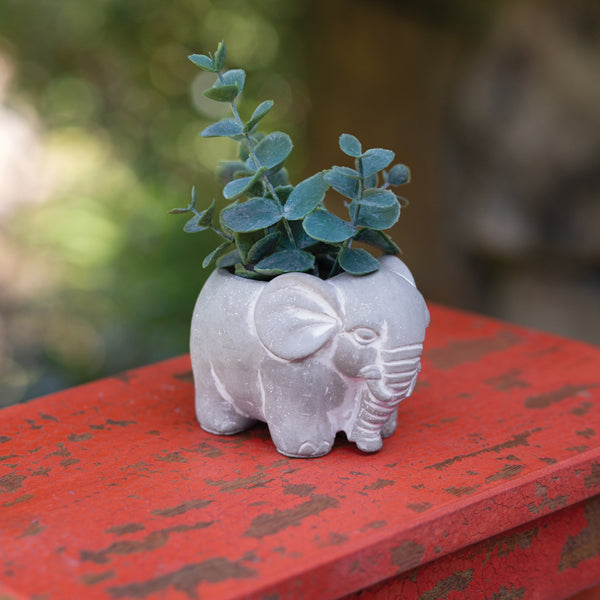 Small Cement Elephant Pot - Min of 2