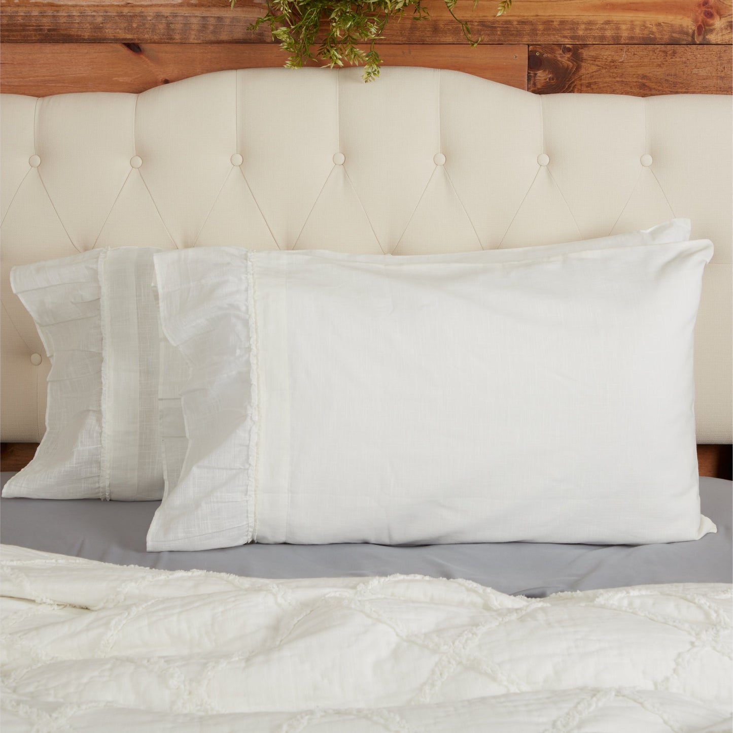 Kathryn King Pillow Case Set of 2 +6