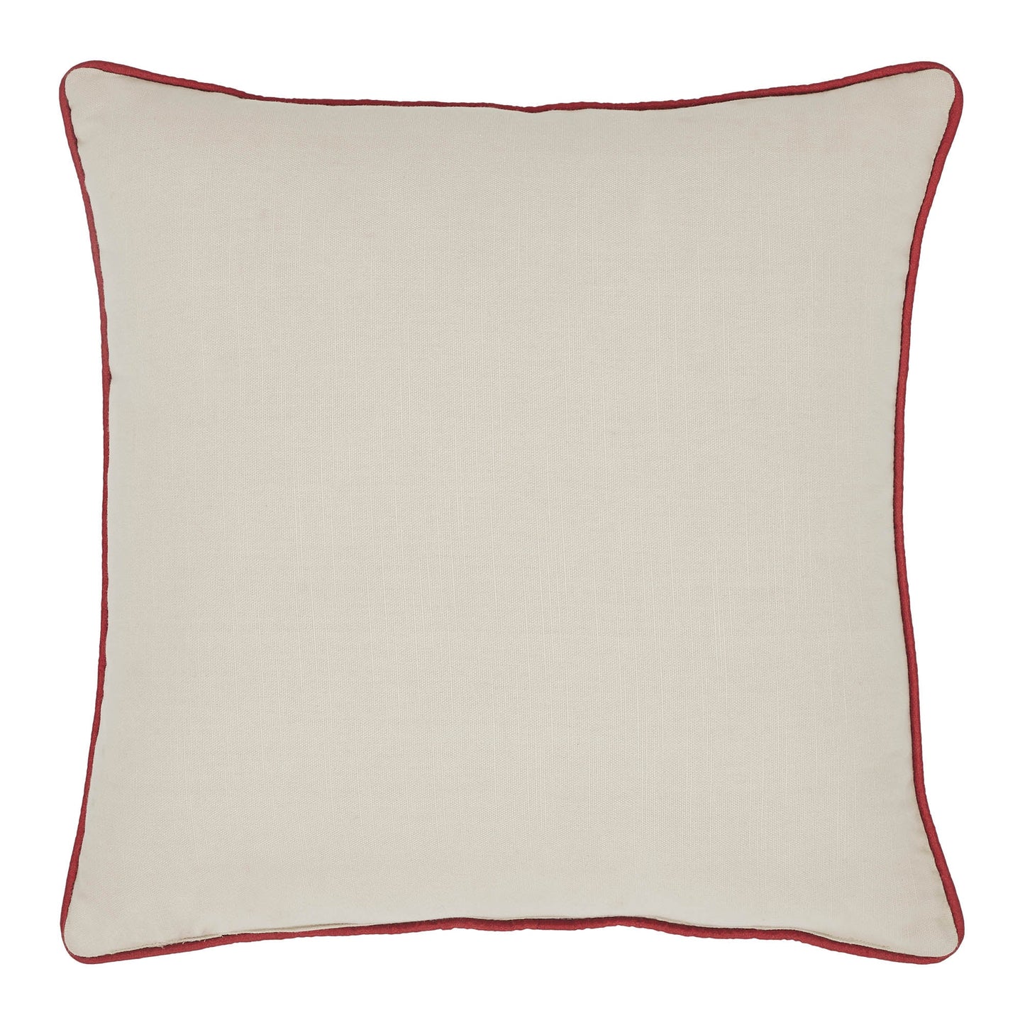 Let's Get Poppin Pillow 18x18