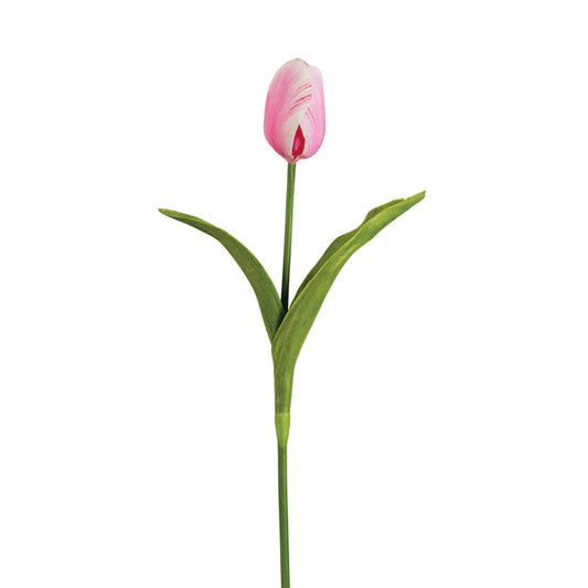 Tulip Pick - Min of 2