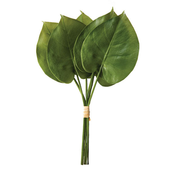 Philodendron Spray - Min of 2