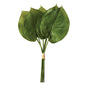 Philodendron Spray - Min of 2