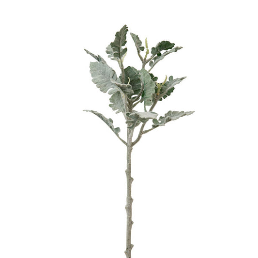 Dusty Miller Spray - Min of 2