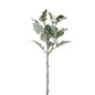 Dusty Miller Spray - Min of 2
