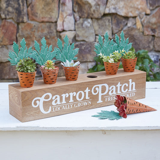 Carrot Patch Display Box - Min of 2