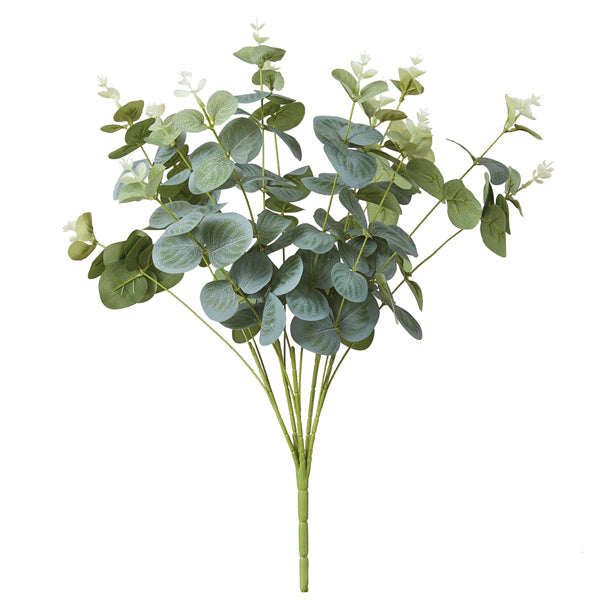 Eucalyptus Bush - Min of 2