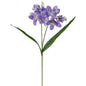Freesias Stem - Min of 4