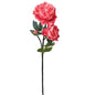 Pink Peony Stem - Min of 4