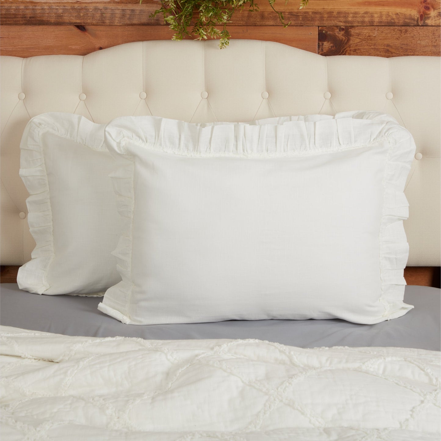 Kathryn King Sham