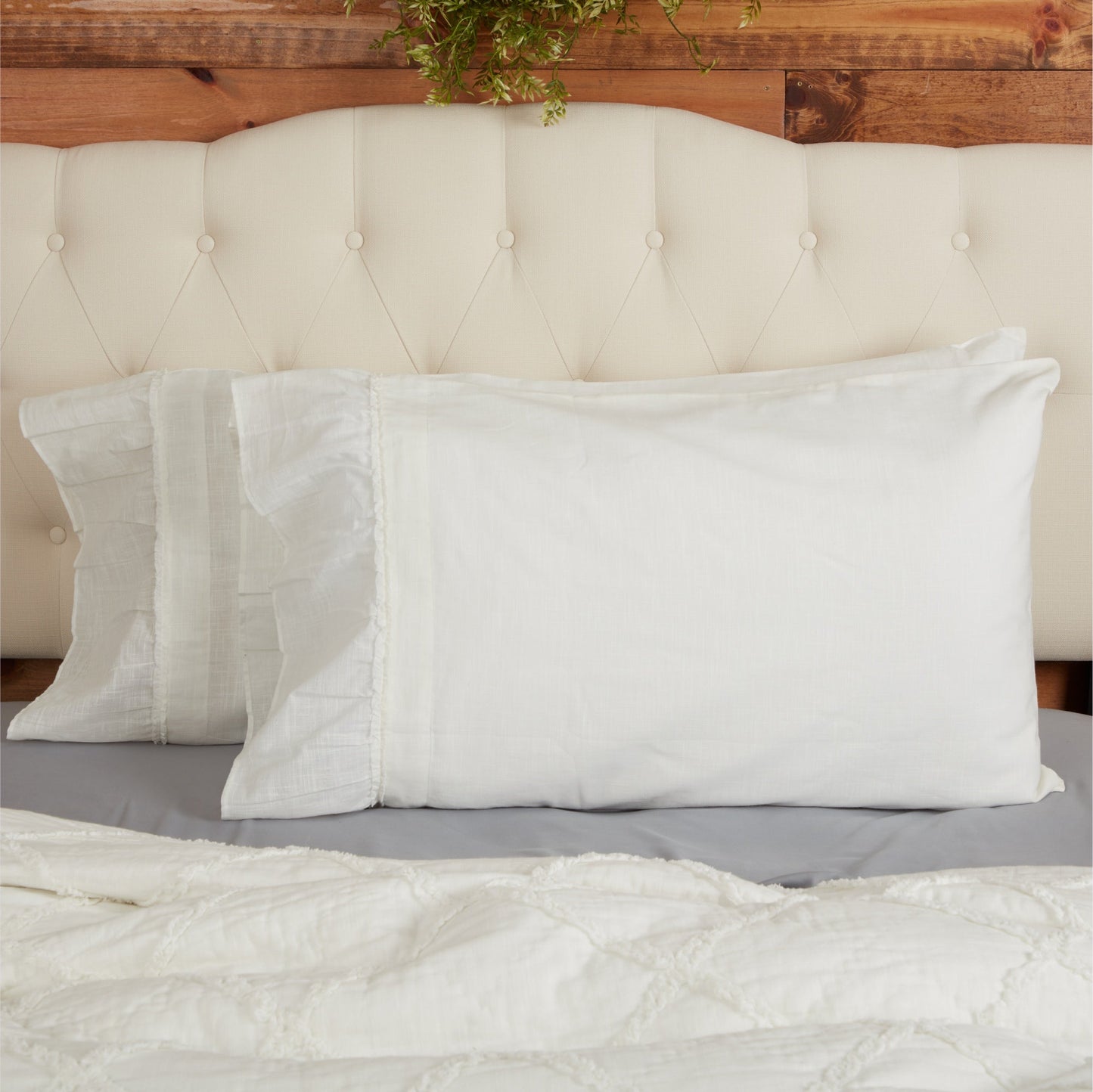 Kathryn Standard Pillow Case Set of 2 +6