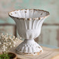 Medium Scalloped Cup - Min of 4