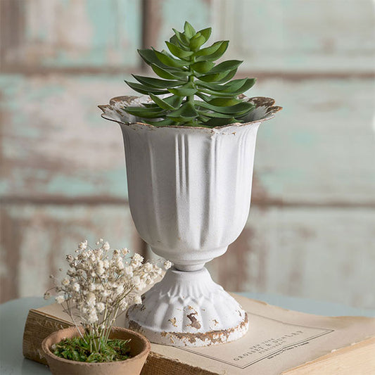 Tall Scalloped Cup - Min of 4