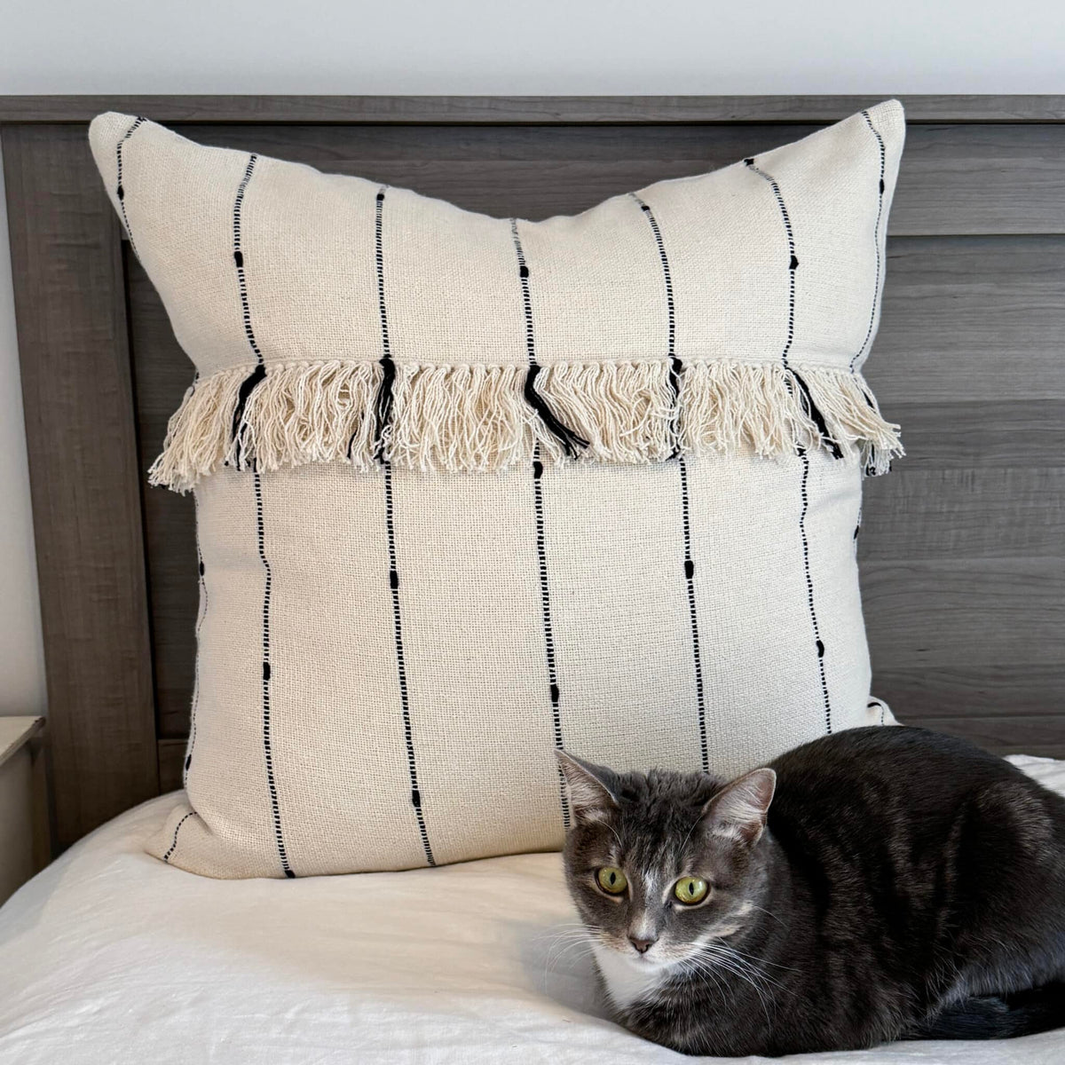 Farmcloth Stripe Fringed Euro Sham