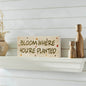 Spring In Bloom Bloom Where You're Planted MDF Wall Sign 5x14x0.75